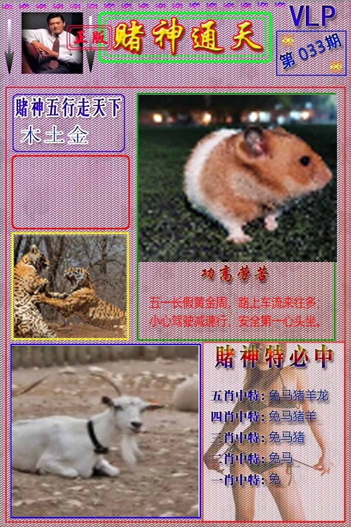 033期赌神通天报[图]